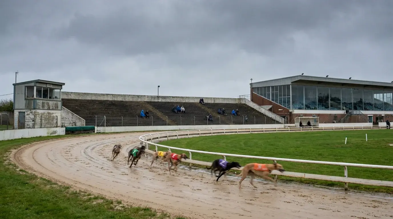 Daytime BAGS greyhound racing meeting at a UK track