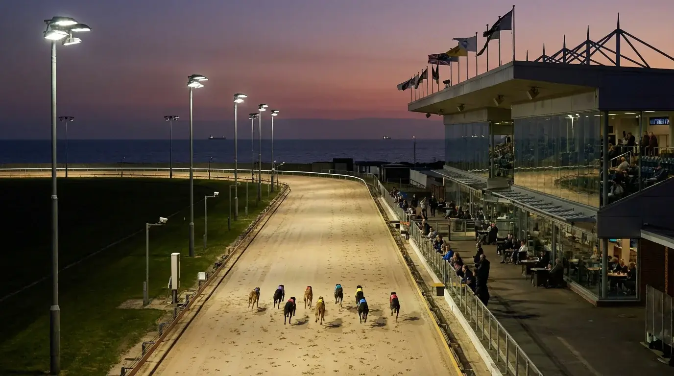 Hove greyhound stadium evening racing on the south coast