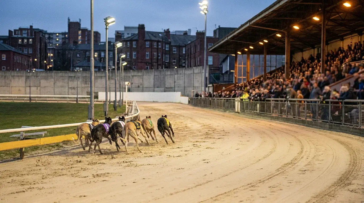 Romford greyhound stadium track layout and racing action